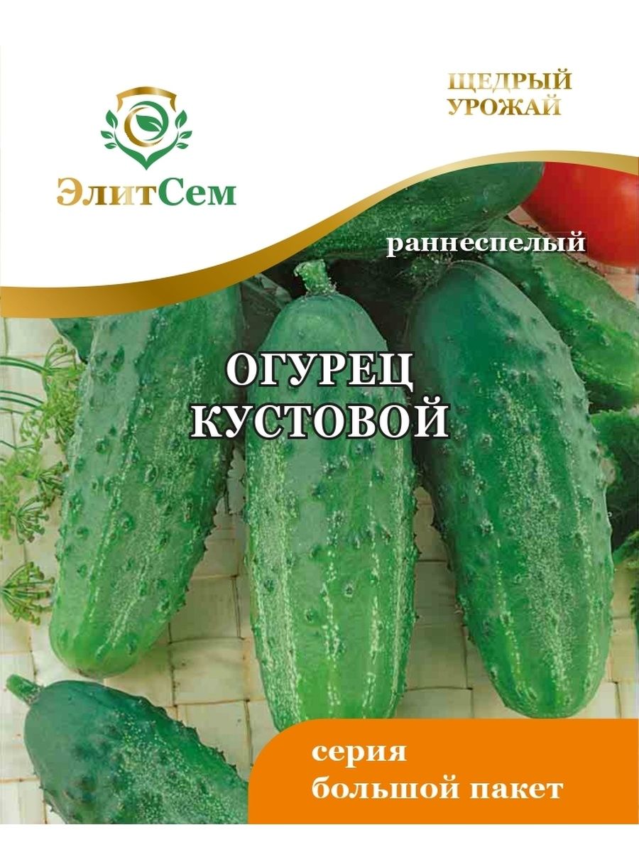 Огурец кустовой отзывы фото