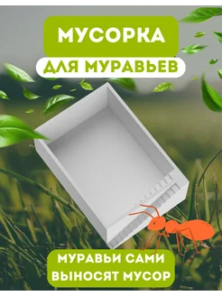 Мусорка для муравьев муравьиной фермы