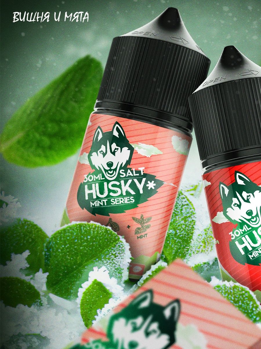 Жидкость husky mint. Sakura Forest хаски жижа. Husky Mint Series Salt strong Sakura Forest. Husky Sakura Forest жидкость. Husky Mint Series Salt Sakura Forest.