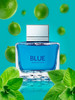 ANTONIO BANDERAS Туалетная вода Blue Seduction Man, 100 мл бренд Parfum продавец Продавец № 872269