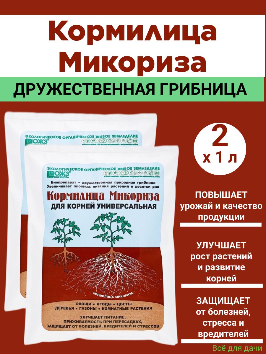 Микориза для рассады способ применения отзывы покупателей