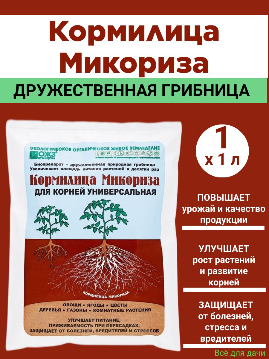 Микориза применение для рассады. Кормилица микориза. Микориза для комнатных растений. БАШИНКОМ.