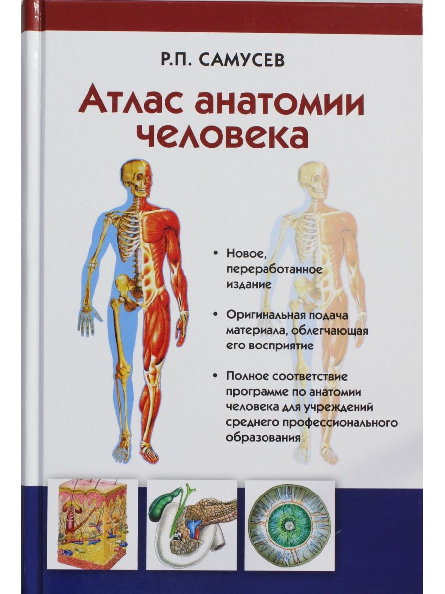 Атлас человека. Анатомический атлас Самусев Липченко. Атлас по анатомии человека Самусев. Самусев Рудольф Павлович атлас анатомии человека.