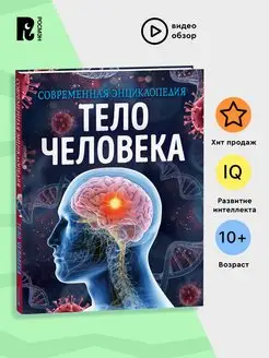 Книга Тело человека. Современная энциклопедия школьника