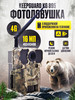 Фотоловушка KeepGuard KG 895 4G бренд Verified продавец Продавец № 1177428