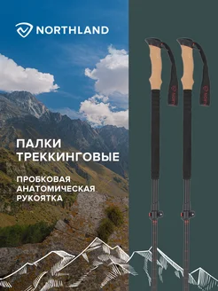 Палки для скандинавской ходьбы TREKKING POLES