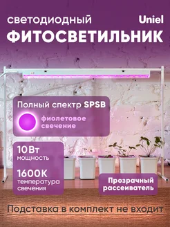 Фитолампа SPSB 10Вт сине-красный спектр