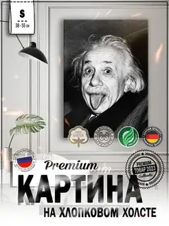 Картина на стену интерьерная 38х55 "Эйнштейн"