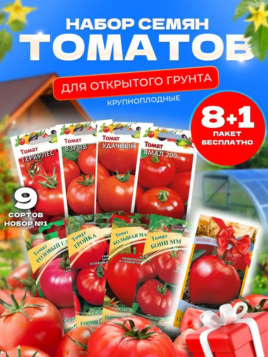 Семена томатов низкорослые крупноплодные набор семян помидор Гавриш144632381 купить за 235 ₽ в интернет-магазине Wildberries