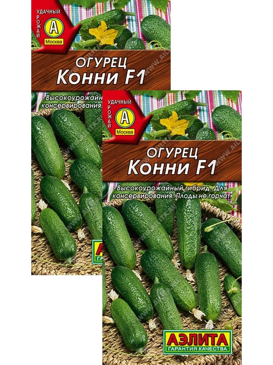 Сорт огурцов конни отзывы фото