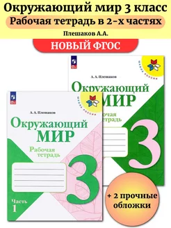 Окружающий мир 3 класс Рабочая тетрадь В 2-х ч Плешаков