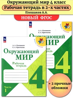 Окружающий мир 4 класс Рабочая тетрадь В 2-х частях Плешаков