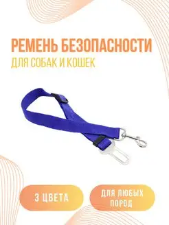 Ремень безопасности