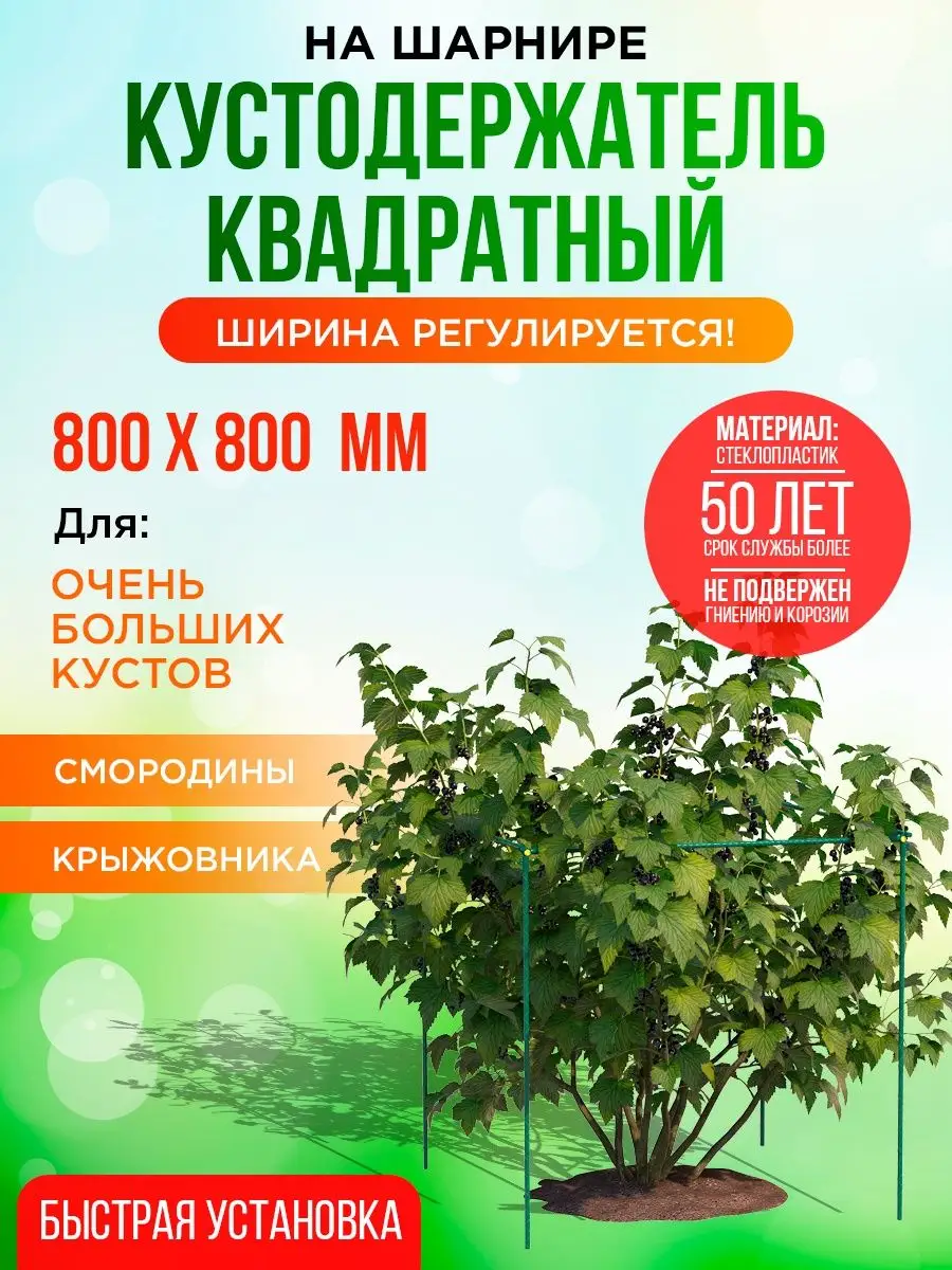 Опоры для крыжовника смородины из арматуры.