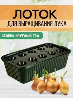 Лоток для выращивания зелёного лука, зелени