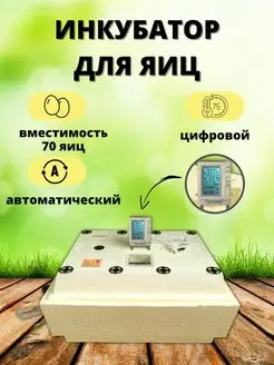 Инкубатор для яиц автоматический на 70 штук