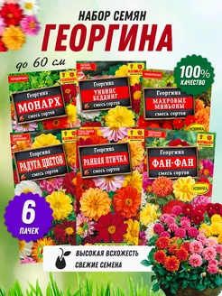 Семена семена георгинов низкорослые 6 шт