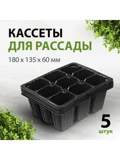 Кассеты для рассады 180х135х60 мм, полистирол, 5 штук, 64347