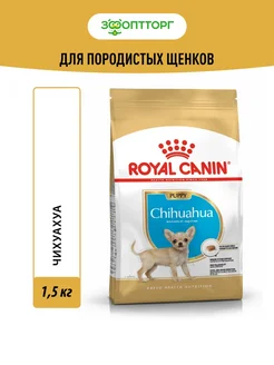 Chihuahua Puppy для щенков породы чихуахуа 1,5 кг