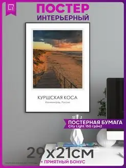 Постер на стену интерьерный Калининград Куршская Коса