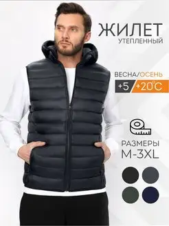 Жилетка утепленная демисезонная с капюшоном