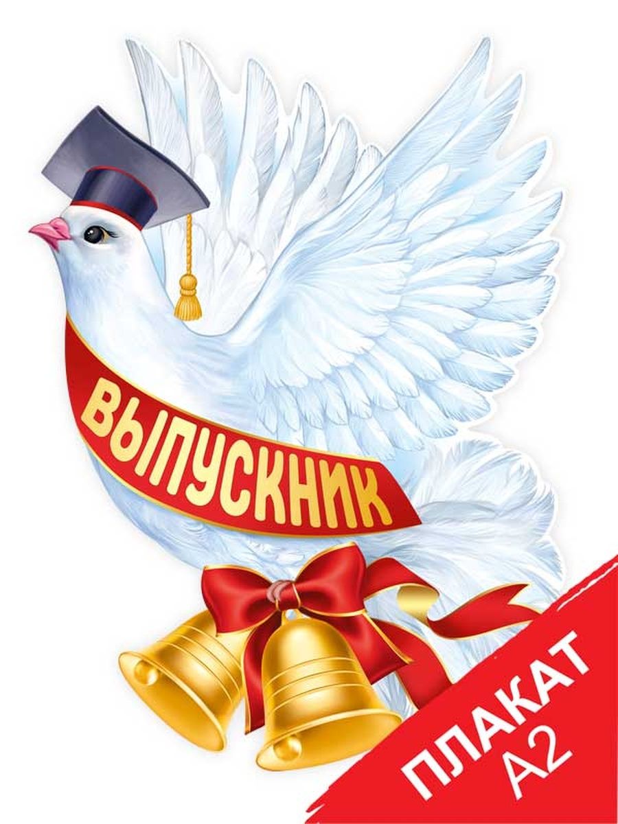 Картинки для выпускников