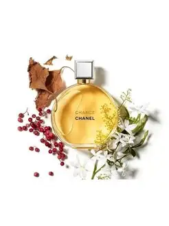 Chanel Chance Шанель Шанс