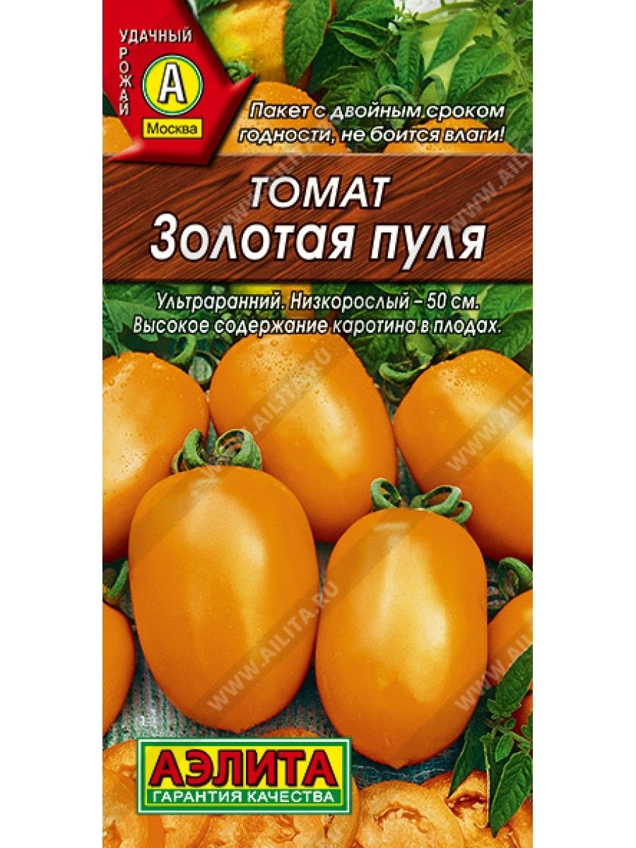 томат золотые яйца фото