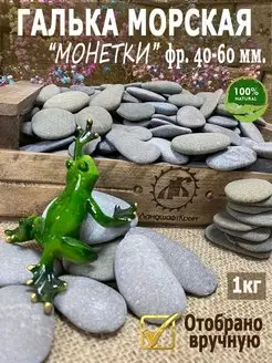 Морская галька плоская "Монетки" фр. 40-60мм