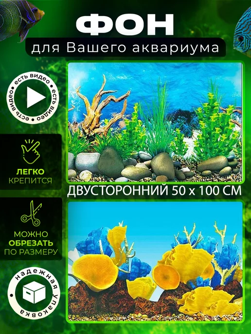 Задний фон для аквариума: фото,видео,подробное описание.
