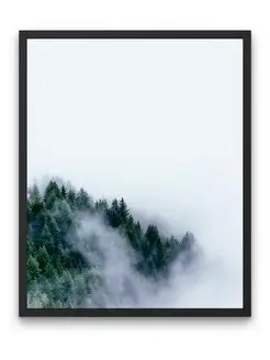 Постер интерьерный - Сосны покрыты туманом