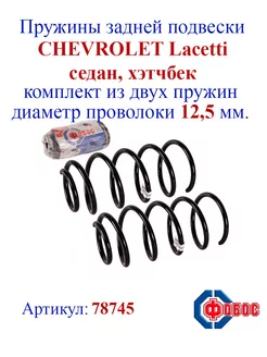 Пружины задней подвески Chevrolet Lacetti, Ravon Gentra