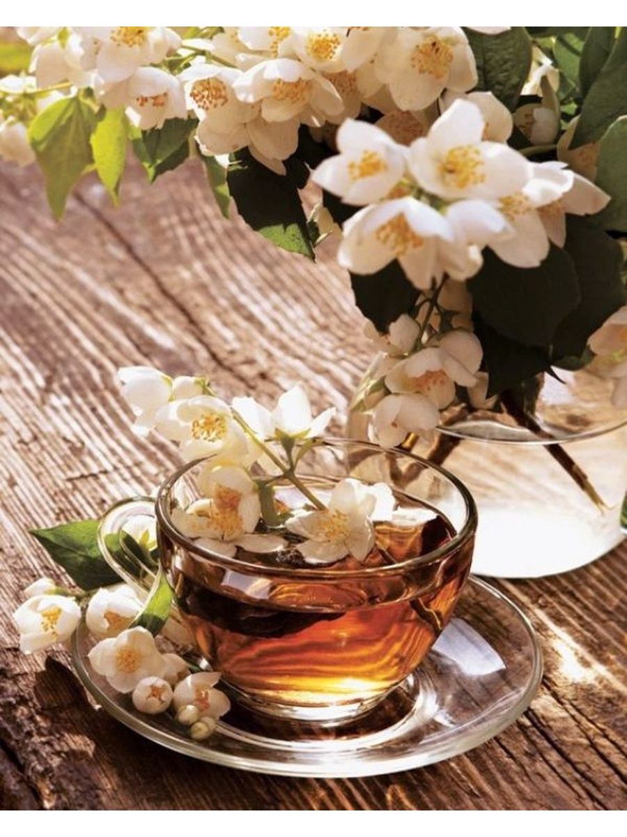 Весенняя чашка чая. Жасминовый чай. Чашка чая и цветы. Доброе утро чай. Цветы в чашке.