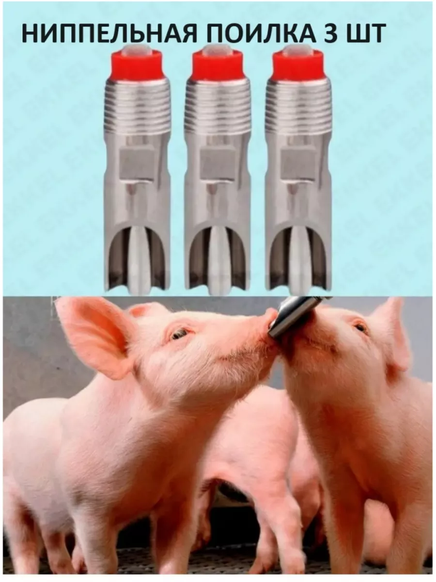 Ключевые требования к свиным поилкам