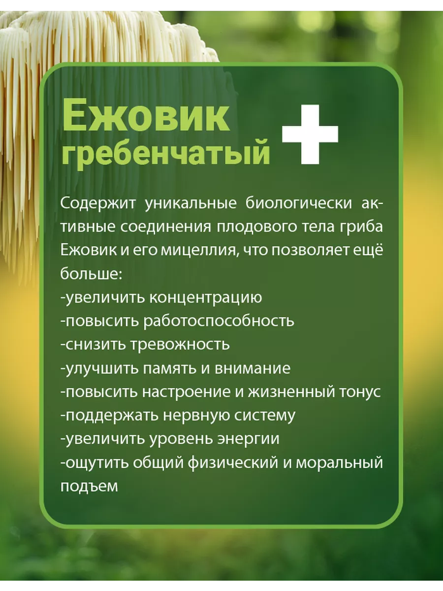 Ежовик гребенчатый 60 капсул 400 мг. Львиная грива (ежевик гребенчатый). Ежовик ежевик гребенчатый мицелий что это. Герициум – ежевик гребенчатый. Ежовик гребенчатый мицелий.