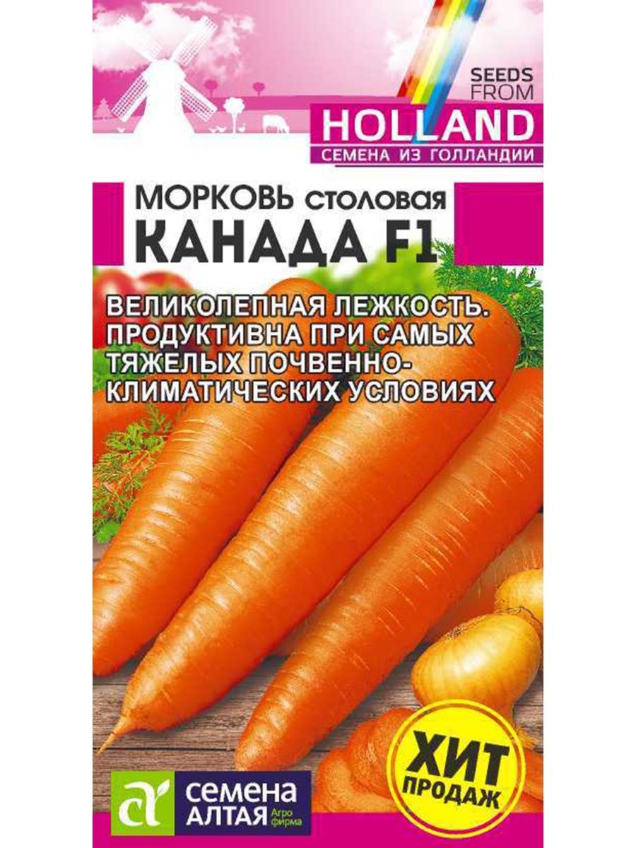 семена моркови канада