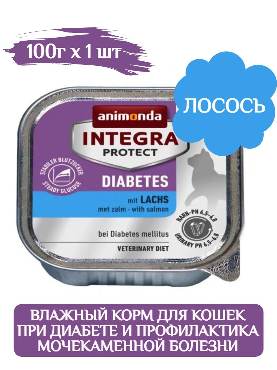 Корм для кошек с диабетом. Корм Animonda Integra. Влажный корм для кошек диабетиков. Animonda паштет для котят. 100 Г лосося.