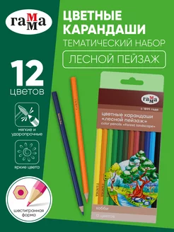 Карандаши цветные 12 цветов