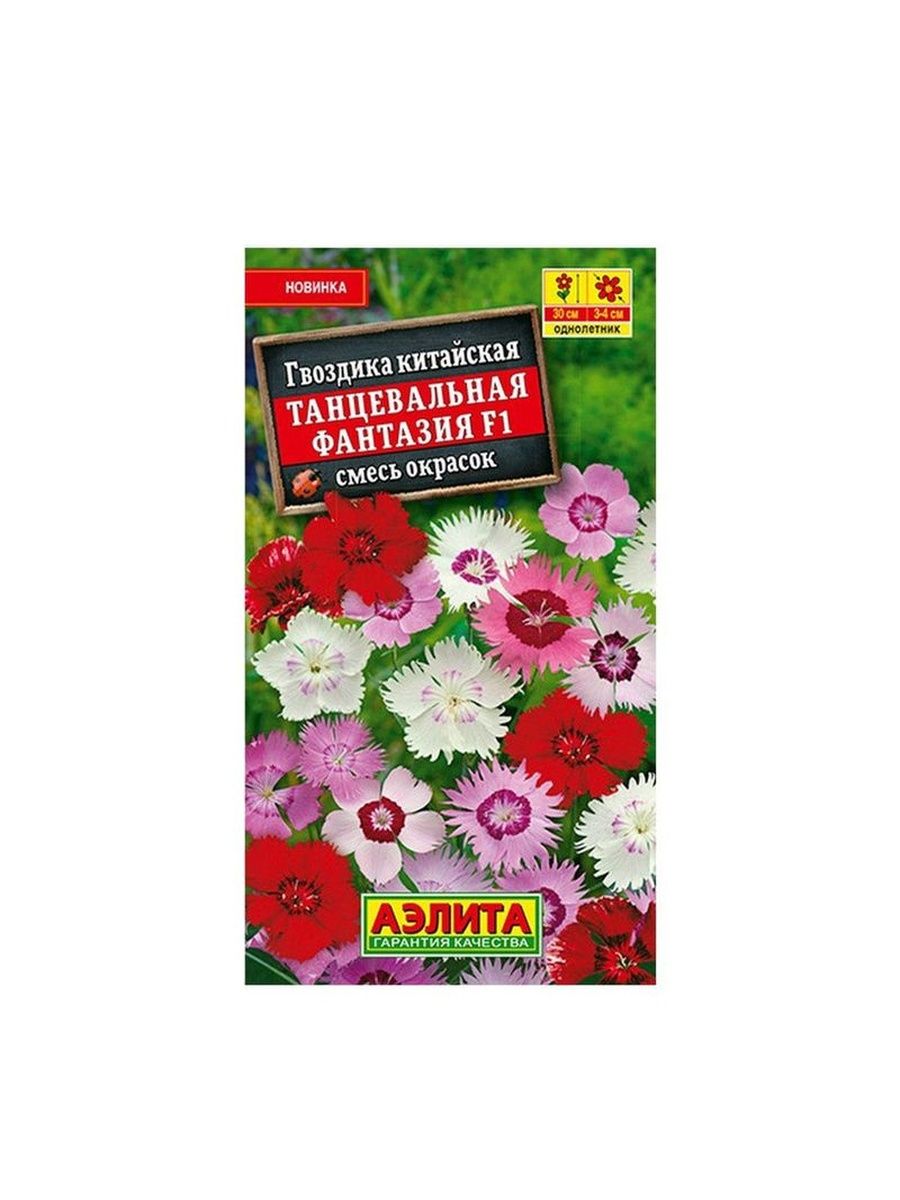 Гвоздика смесь окрасок. Гвоздика фантазия смесь окрасок. Гвоздика танцевальная фантазия.