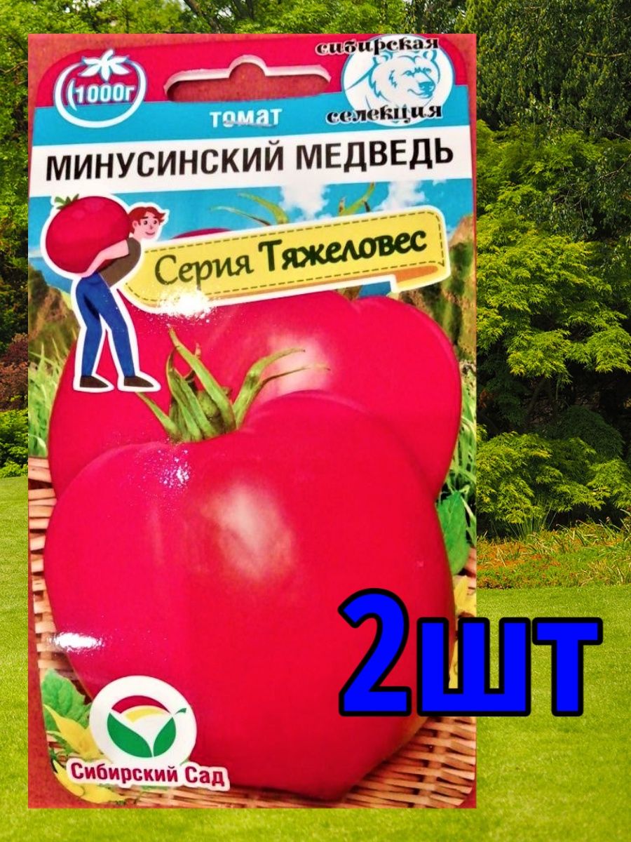 Томат минусинский медведь