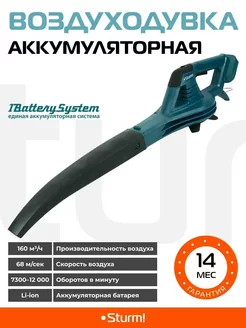 Воздуходувка аккумуляторная CGB1801 1BatterySystem