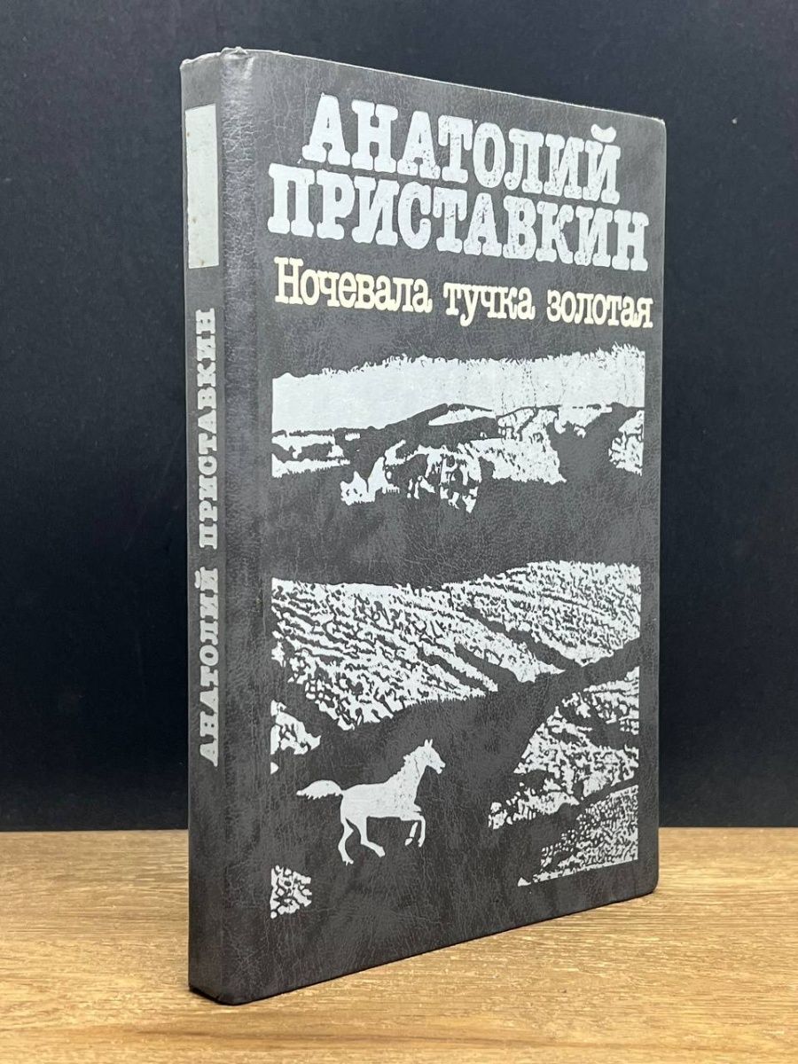 Ночевала тучка золотая приставкин