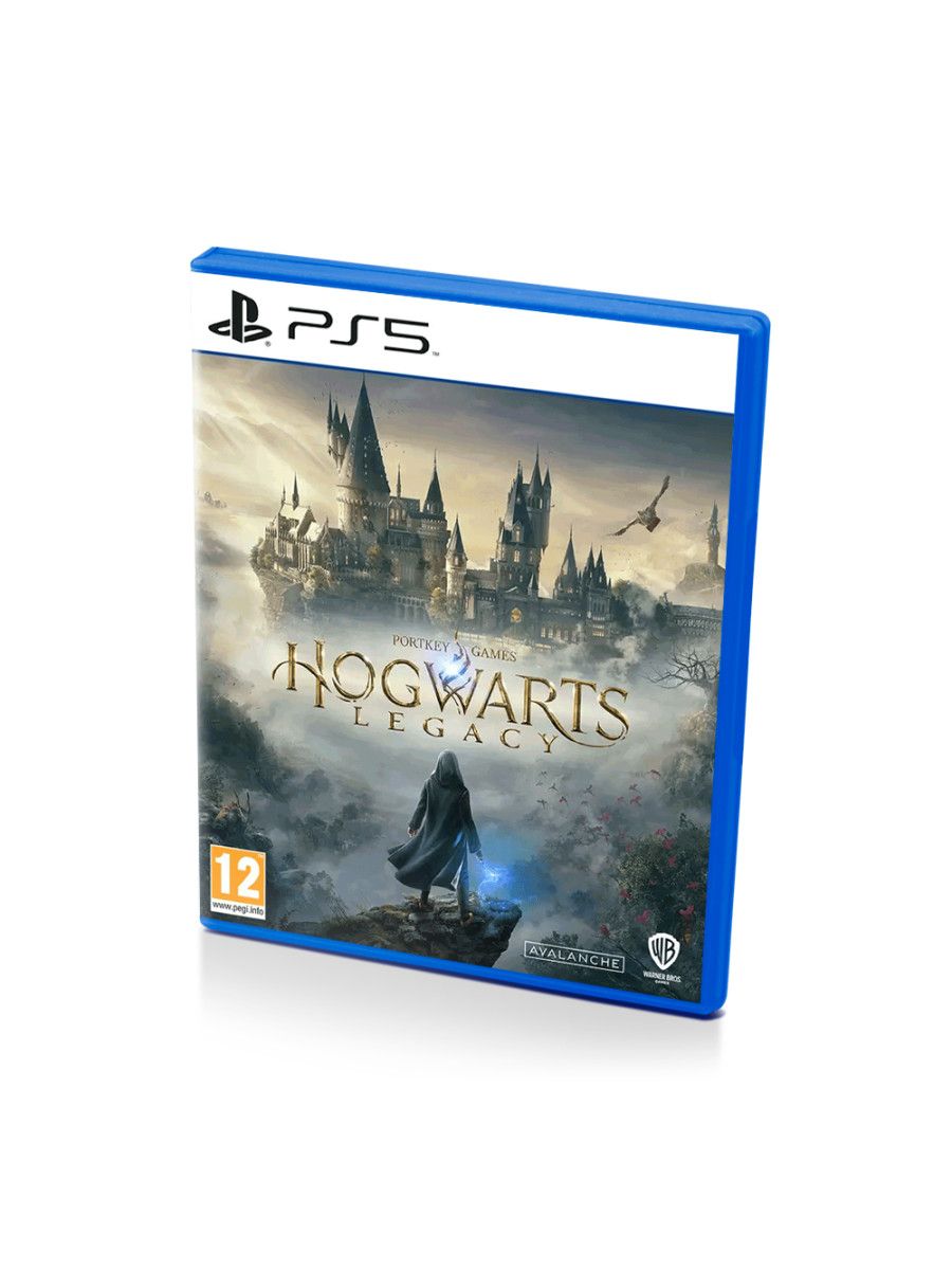 Hogwarts legacy ps5 диск фото 47