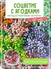 Вставка для букетов Соцветие с ягодками (60 шт.) бренд Клуб мастеров продавец Продавец № 541728