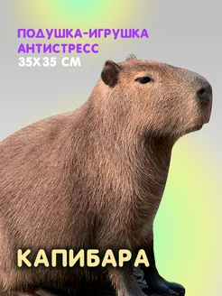 Капибара игрушка антистресс