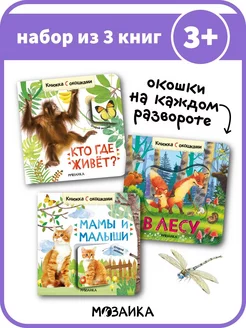 Набор книг с окошками для детей, детские развивашки 3+