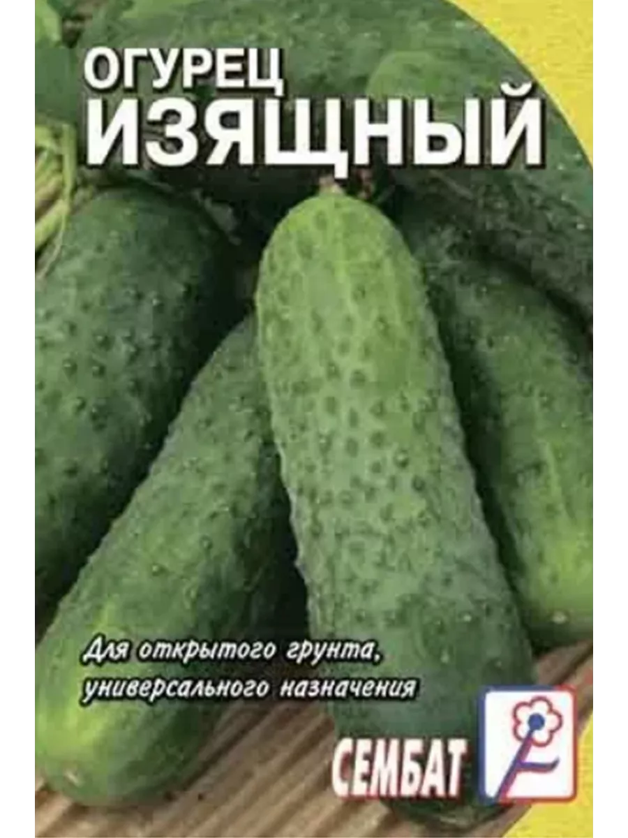 Семена Огурцов Изящный Купить