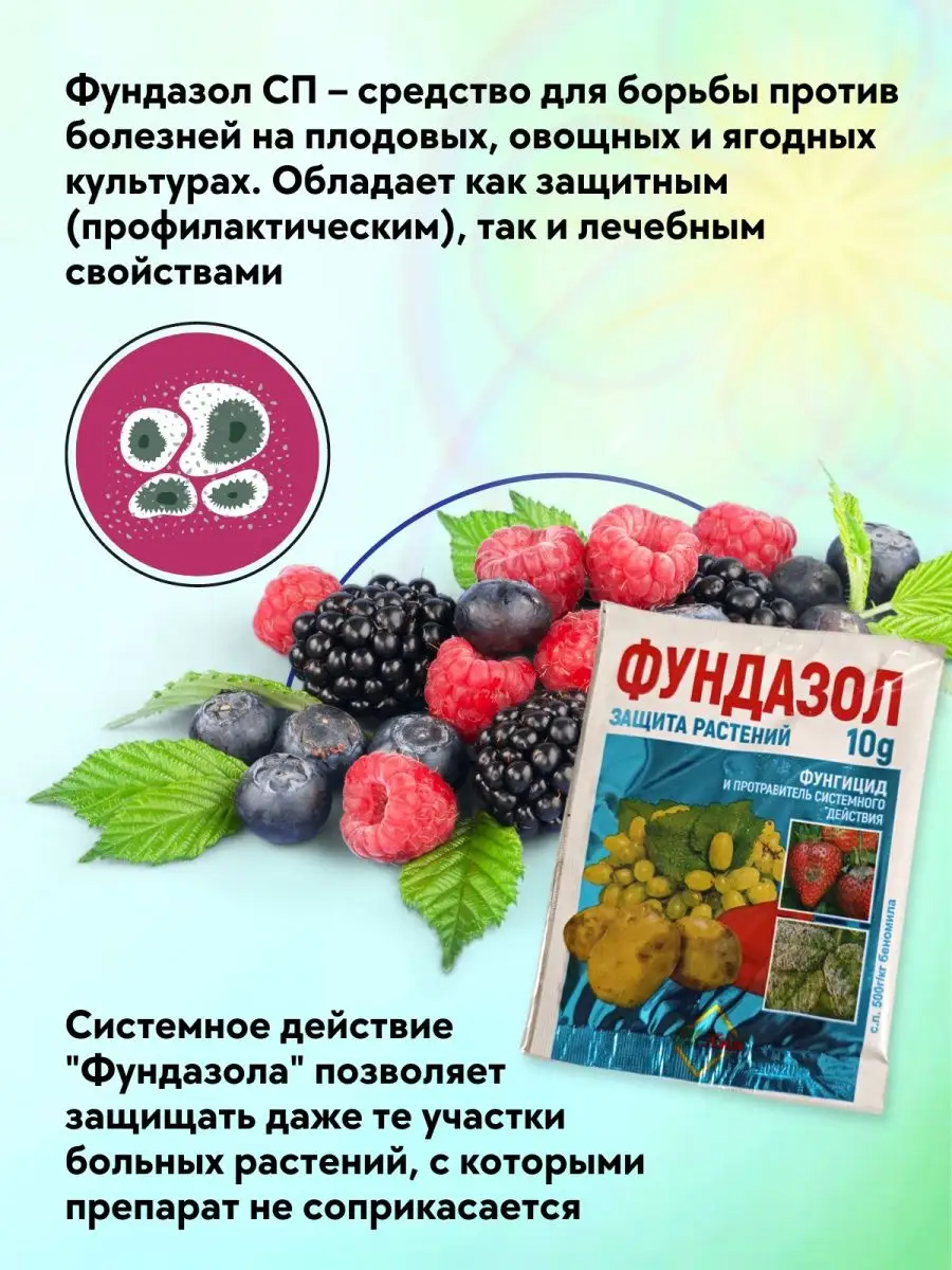 Фундазол фунгицид. Фундазол для растений инструкция. Препарат фундазол для винограда. Фундазол для растений инструкция инструкция.