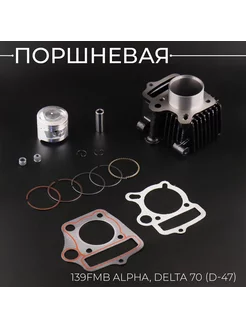 Поршневая (ЦПГ) 139FMB Alpha, Delta 70 (D-47)