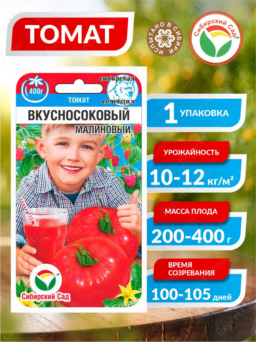 Томат Гигант Новикова Отзывы Фото